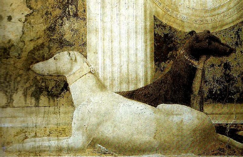 Piero della Francesca detail of the dogs from st sigismund  and sigismondo pandolfo malatesta